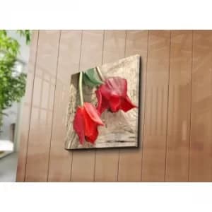 4545C-83 Multicolor Decorative Canvas Painting