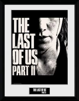 The Last Of Us 2 - Face Framed Image