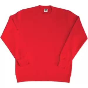 SG Ladies/Womens Crew Neck Long Sleeve Sweatshirt (2XL) (Red)