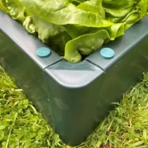 Garden Skill Gardenskill Build-a-bed Raised Vegetable Grow Bed And Planter 1 X 1 X 0.15M