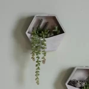 Crossland Grove Wall Planter With Sedum Succulent Mix H380Mm