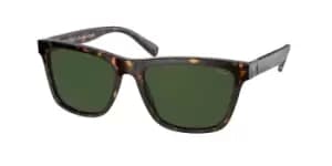 Polo Ralph Lauren Sunglasses PH4167 500371