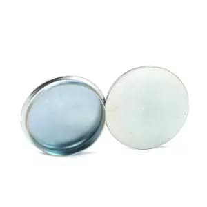 TOPRAN Protection Lid, wheel hub VW,AUDI,SKODA 111 316 1J0501249,1J0501249A,1J0501249C 1J0501249,1J0501249A,1J0501249C,1J0501249,1J0501249A,1J0501249