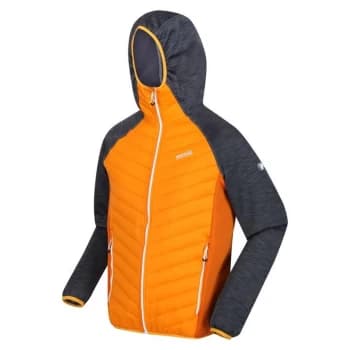 Regatta AndresonVI Hybrid Insulated Jacket - FlmeOra/IndG