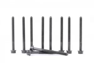 REINZ Cylinder Head Bolt Kit VW,SKODA,SEAT 14-32383-01 WHT00530510x,WHT00530510X,WHT00530510x Bolt Kit, cylinder head WHT00530510x,WHT00530510x