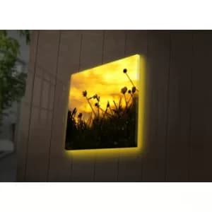 4040DACT-52 Multicolor Decorative LED Lighted Canvas Painting