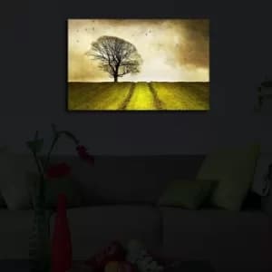 4570?ACT-48 Multicolor Decorative LED Lighted Canvas Painting