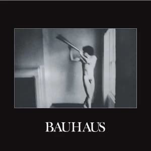 Bauhaus - In The Flat Field Vinyl