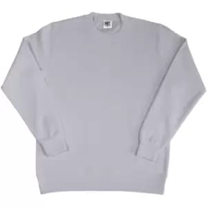 SG Ladies/Womens Crew Neck Long Sleeve Sweatshirt (S) (Light Oxford)