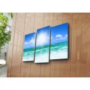 3PATK-52 Multicolor Decorative Canvas Painting (3 Pieces)