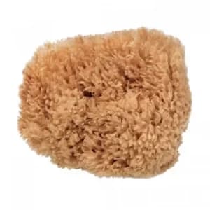Beauty Kitchen Eco-Harvested Body Sea Sponge 50g