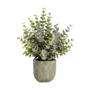 Gallery Interiors Eucalyptus With Rustic Grey Pot / Large