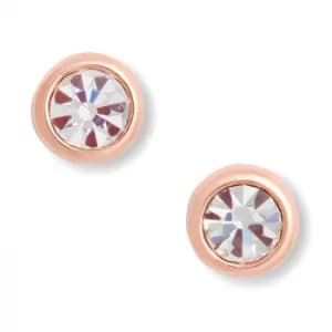 Olivia Burton Bejewelled Rose Gold Tone Stud Earrings