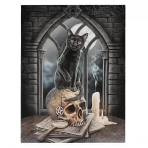 19x25 Salem Canvas Plaque by Lisa Parker