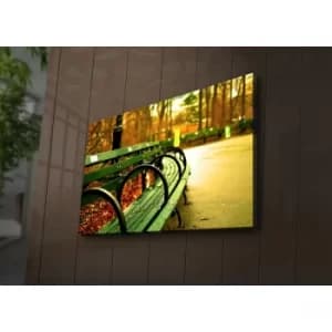 4570?ACT-71 Multicolor Decorative LED Lighted Canvas Painting