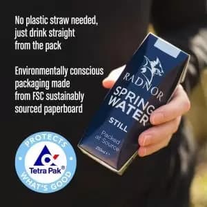 Radnor Hills Spring Still Water 24x250ml Cartons NWT4445