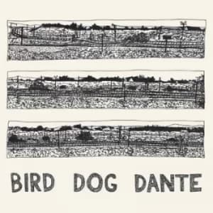 Bird Dog Dante by John Parish Vinyl Album
