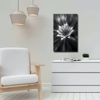 45702019C - 045 Multicolor Decorative Canvas Painting