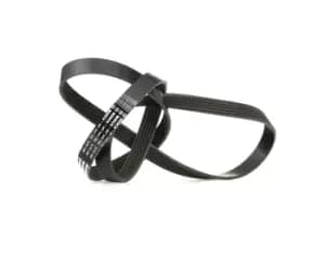 Bosch V-ribbed belt 1 987 945 702 Serpentine belt,Auxiliary belt FIAT,PEUGEOT,CITROEN,QUBO (225),FIORINO Kasten/Kombi (225),Fiorino MPV (225)