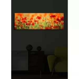3090?ACT-13 Multicolor Decorative LED Lighted Canvas Painting