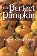 perfect pumpkin growing cooking carving