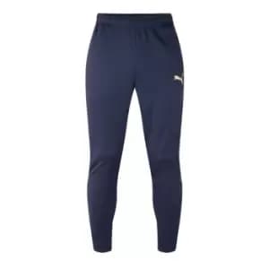Puma TeamRISE Training Pants Mens - Blue