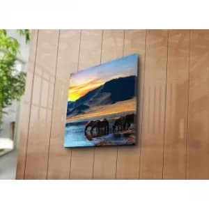 4545NAT-43 Multicolor Decorative Canvas Painting