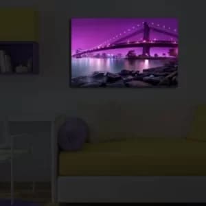 4570?ACT-39 Multicolor Decorative LED Lighted Canvas Painting