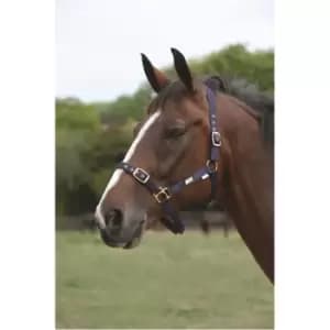 Roma Adjustable Headcollar - Blue