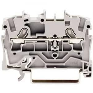 Continuity 4.20 mm Pull spring Configuration L Grey