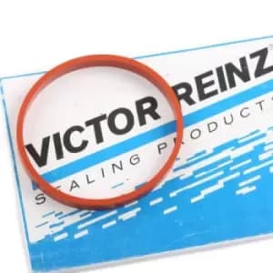 REINZ Intake Manifold Gasket 71-17370-00 11618513295 Inlet Manifold Gasket,Gasket, intake manifold