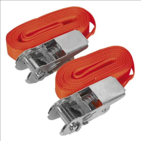 Sealey TD05045E Self-Securing Ratchet Tie Down 25mm x 4.5mtr 500kg LoadTest Pair