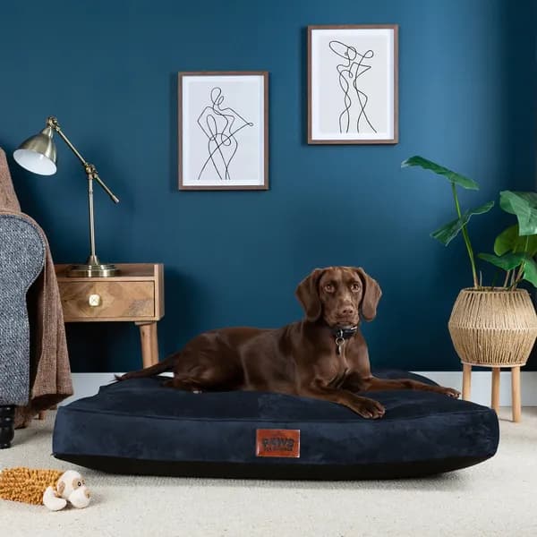 Paws For Slumber Paws For Slumber Luxury Navy Pet Bed-Extra Large