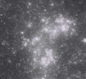 Art For The Home Constel Celestial Mural Wallpaper Paper