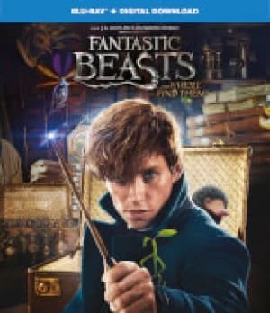 Fantastic Beasts and Where To Find Them