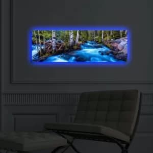 3090DACT-38 Multicolor Decorative LED Lighted Canvas Painting