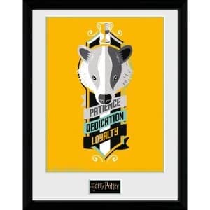 Harry Potter Patience Framed Collector Print