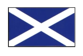 Outdoor Grade Vinyl Sticker - St. Andrews Flag- CASTLE PROMOTIONS- V19