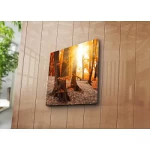 4545K-61 Multicolor Decorative Canvas Painting