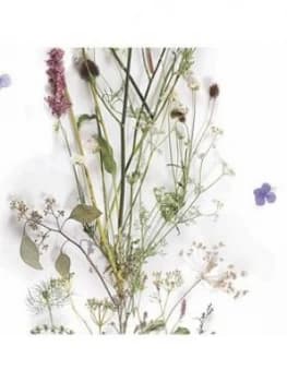 Woodchip & Magnolia Nostalgia Wallpaper