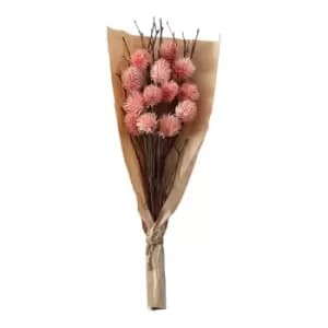 Gallery Interiors Clark Dried Thistle Bundle in Paper Wrap Blush / Large