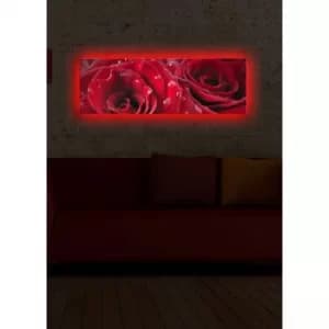3090DACT-9 Multicolor Decorative LED Lighted Canvas Painting