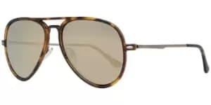 Pepe Jeans Sunglasses PJ7357 C2