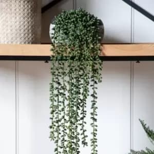 Crossland Grove String Of Pearls In Soil L710Mm