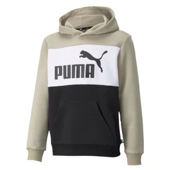 Puma Essential Colour Block Hoodie - Spray Green