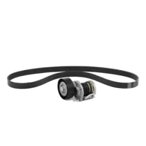 INA V-ribbed belt set Check alternator freewheel clutch & replace if necessary 529 0493 10 Serpentine belt kit,Auxiliary belt kit BMW,3 Touring (E91)