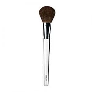 Clinique blush brush Pink