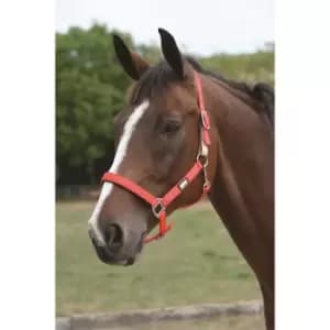Roma Breakaway Headcollar - Brown