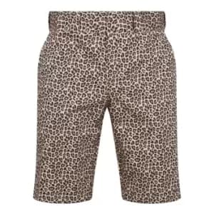 DICKIES Silver Firs Shorts - Multi