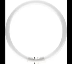 Philips 55w Halogen Circular Tube 2GX13 Cool White - 64251625